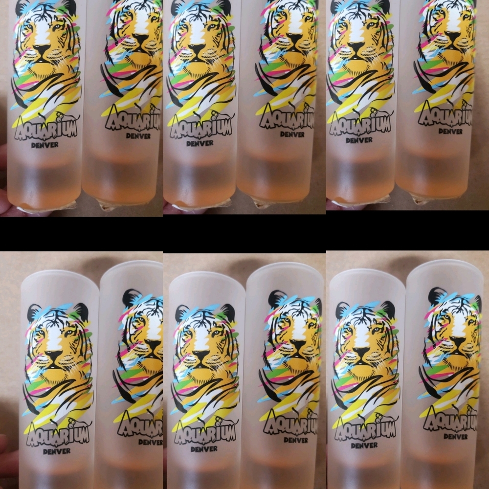 12pk Shot Glasses TIGERS